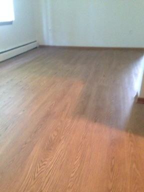 1164 Queens Ln - Photo 2 of 15