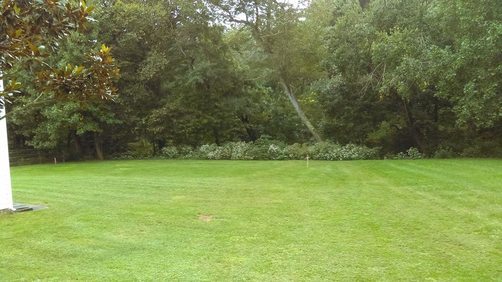 234 Casper Way - Photo 3 of 19