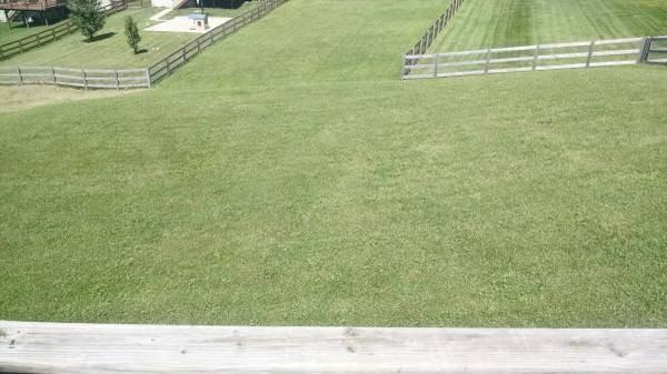1286 Fieldhurst Ct - Photo 2 of 10