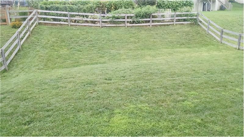 1358 Grandarbor Cir - Photo 2 of 13