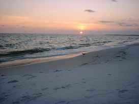 2805 N Highway A1a Unit B  