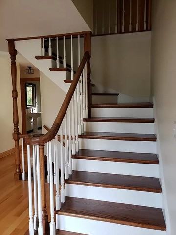 20 Fox - Photo 3 of 17