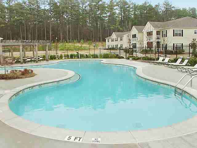 Wyndsor Forest - Photo 3 of 13