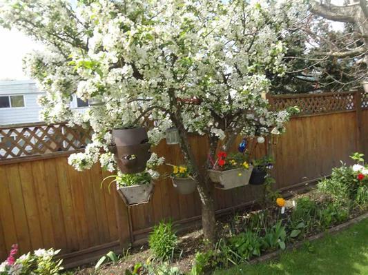 7280 15th Avenue #7280 15 Av - Photo 6 of 12