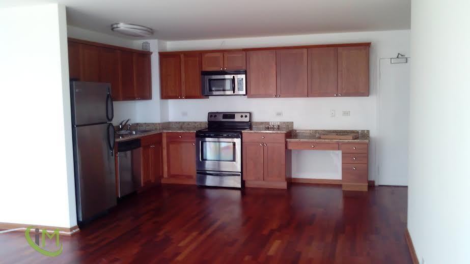 2935 N Sheridan Rd #1014