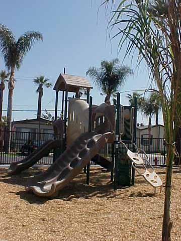 Palm Lodge Estates - Photo 2 of 19