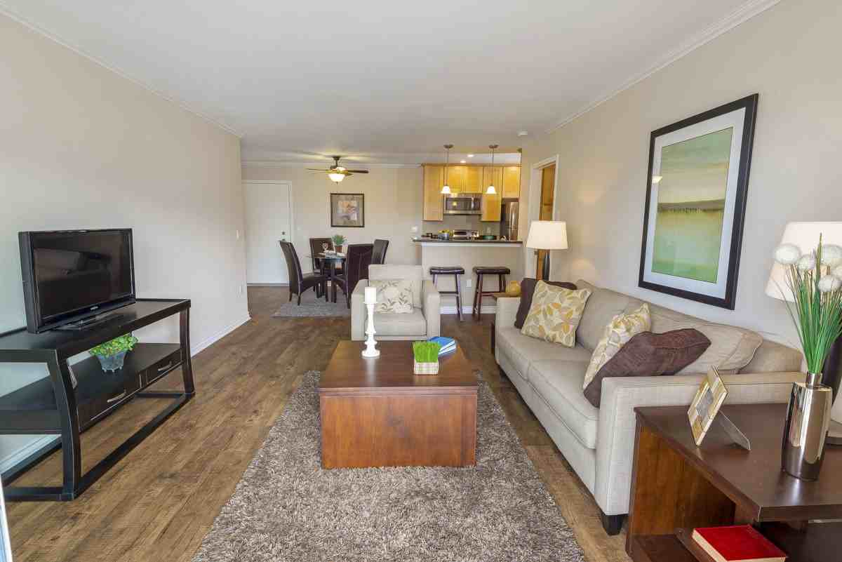 The Palms - Photo 7 of 17