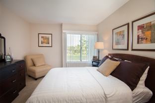 The Palms - Photo 1 of 1