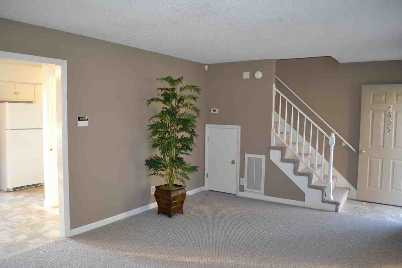 4605 Forest Ridge Drive - Photo 2 of 13