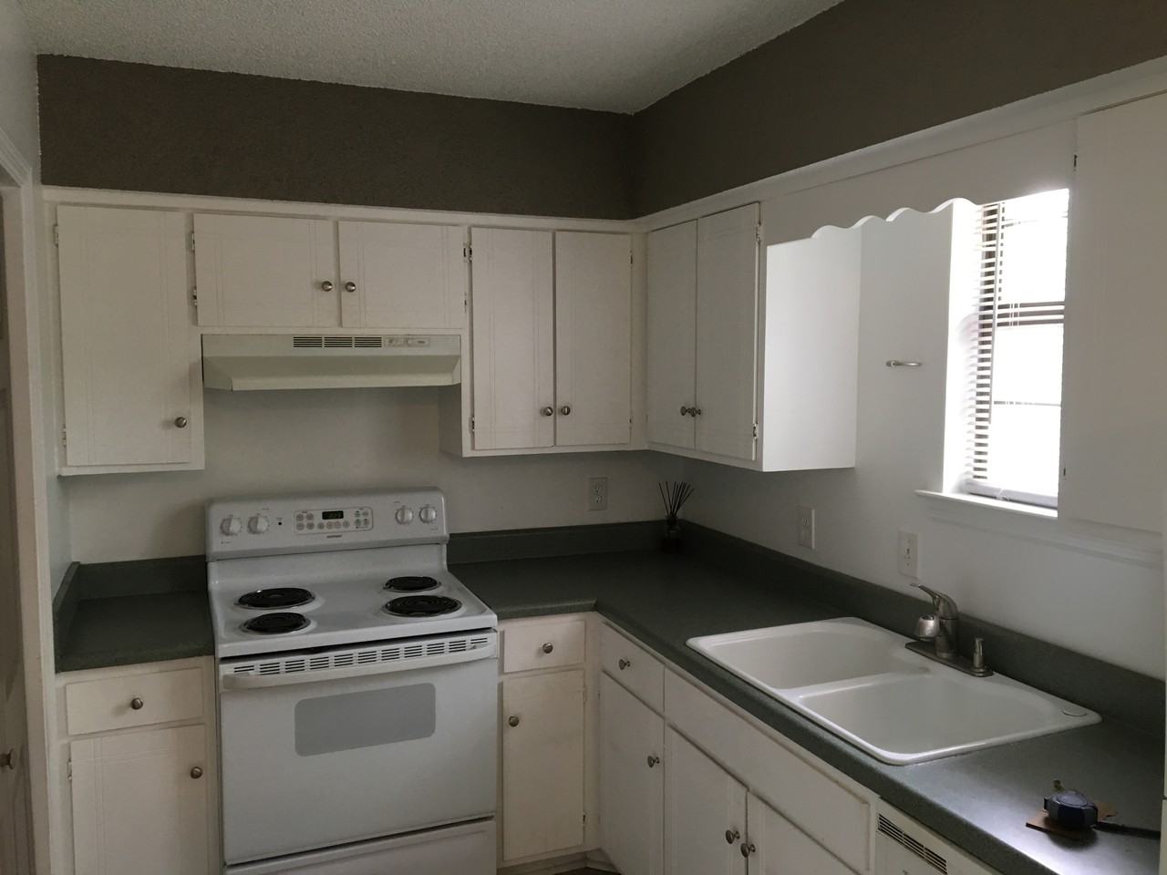 4605 Forest Ridge Drive - Photo 3 of 13