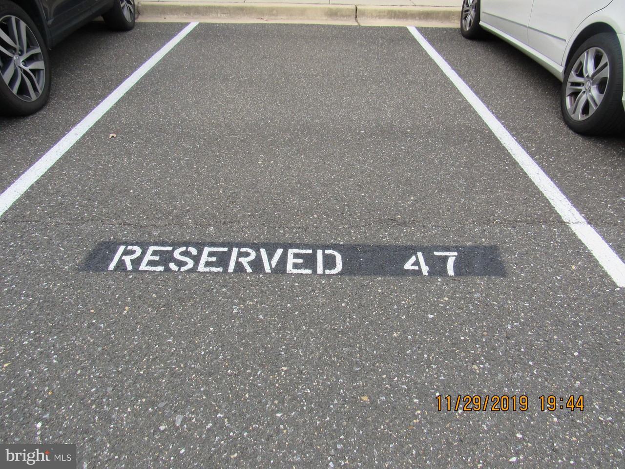 8047 Forest Ridge Drive - Photo 3 of 42