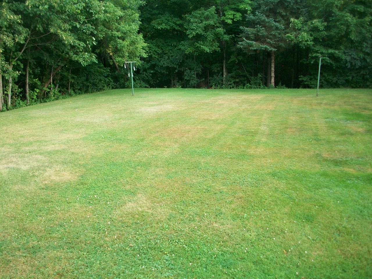 202 Ethel St - Photo 3 of 7