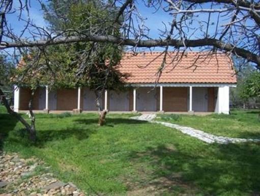 17524 Bright Path - Photo 2 of 28