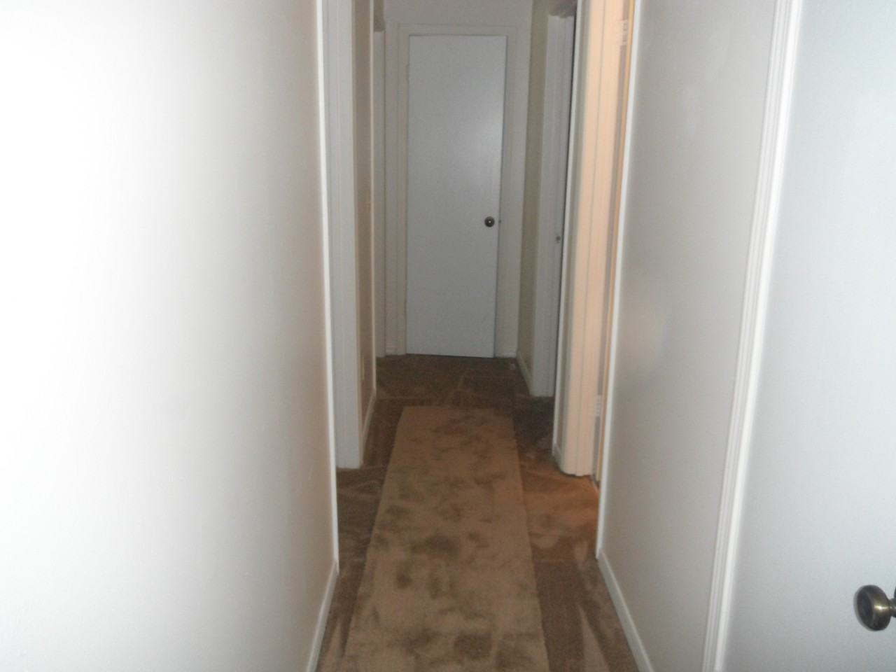 707 Thornwood Way - Photo 3 of 9