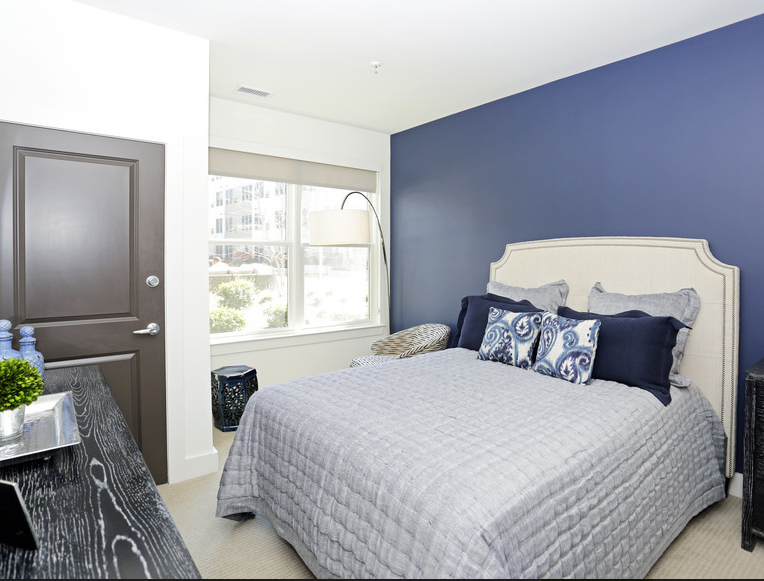 2313 Windsor Park Court #9672