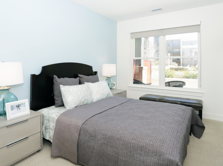 2313 Windsor Park Court #6539