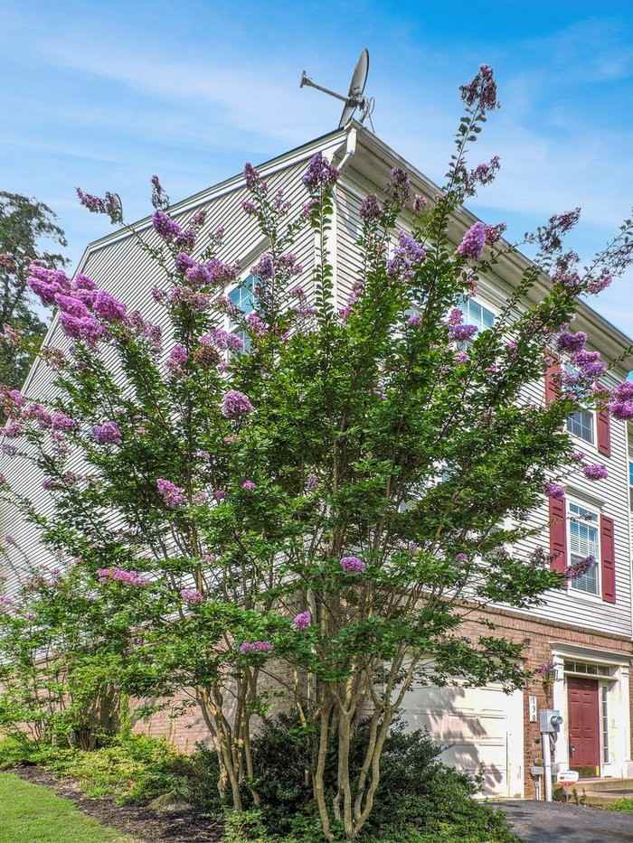 130 Riverwatch Boulevard - Photo 2 of 13