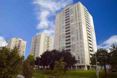 33 Pet Friendly Apartments For Rent In Bayview Village Toronto On Photos Pricing Available Zumper