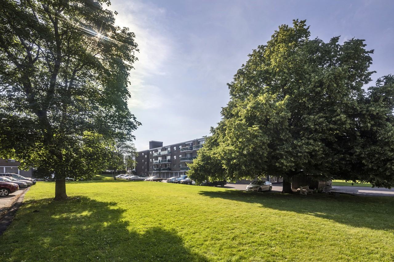 Donway Properties - Photo 3 of 29