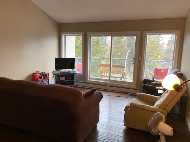 11905 106 Avenue - 323 #323 - Photo 2 of 18