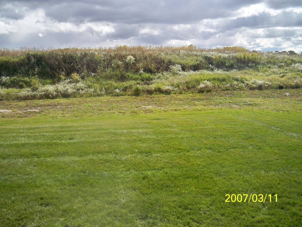 9239 Hollyhock Ln - Photo 3 of 6