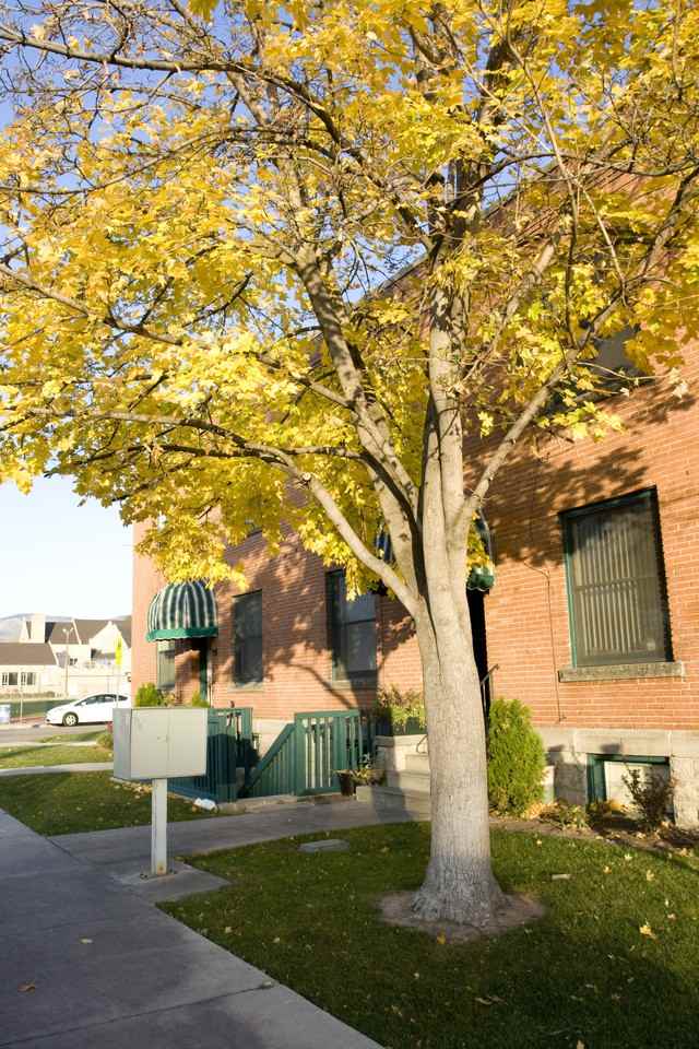 510 N 12th St - Photo 2 of 9