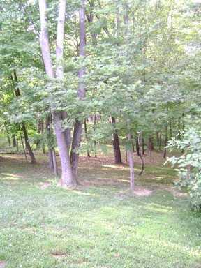 543 Glenmonte Dr - Photo 2 of 19