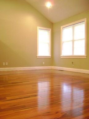 543 Glenmonte Dr - Photo 3 of 19