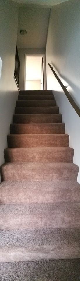 River Forest - Photo 3 of 9