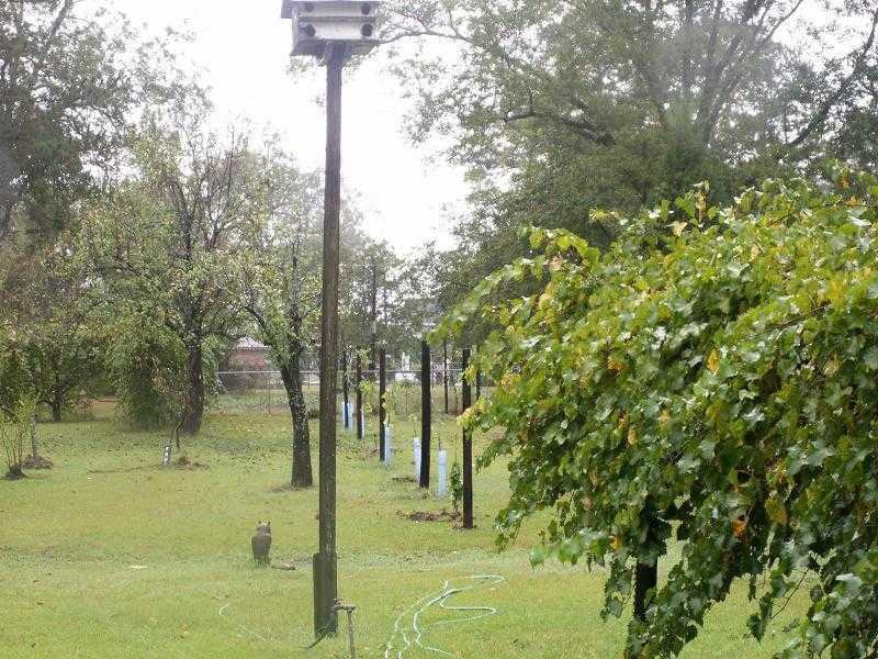 109 S. Outerbridge St. - Photo 2 of 8