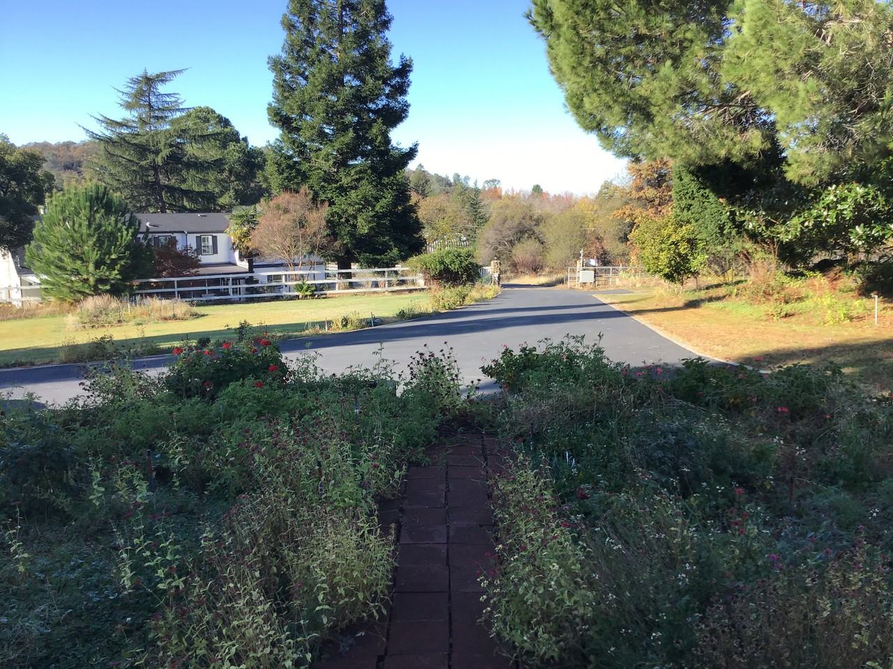 3555 Holly Hill Ln - Photo 2 of 30