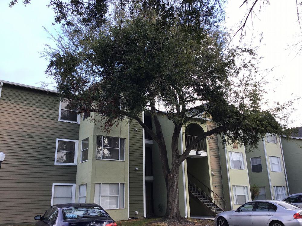 4740 Walden Circle 1031 #1031 - Photo 2 of 19