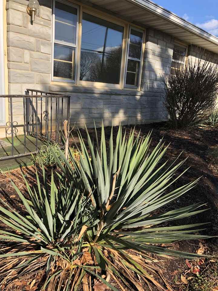 5051 Old Philadelphia Pike - Photo 3 of 14