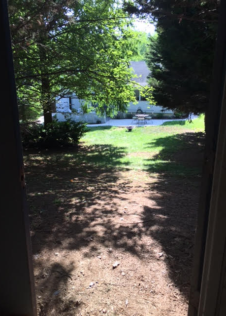 6135 Rainbow Dr - Photo 3 of 25