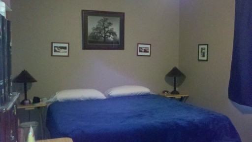 9755 Elderberry Ln - Photo 3 of 20