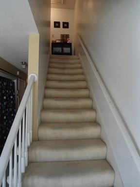 1710 14th Ave S - Photo 3 of 13