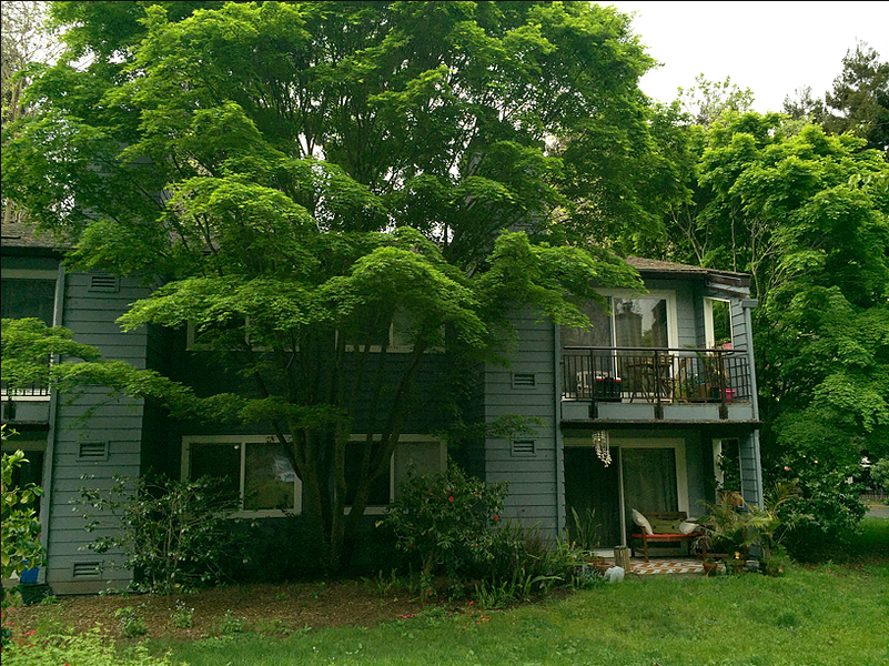 36 Emery Bay Drive - Photo 3 of 18