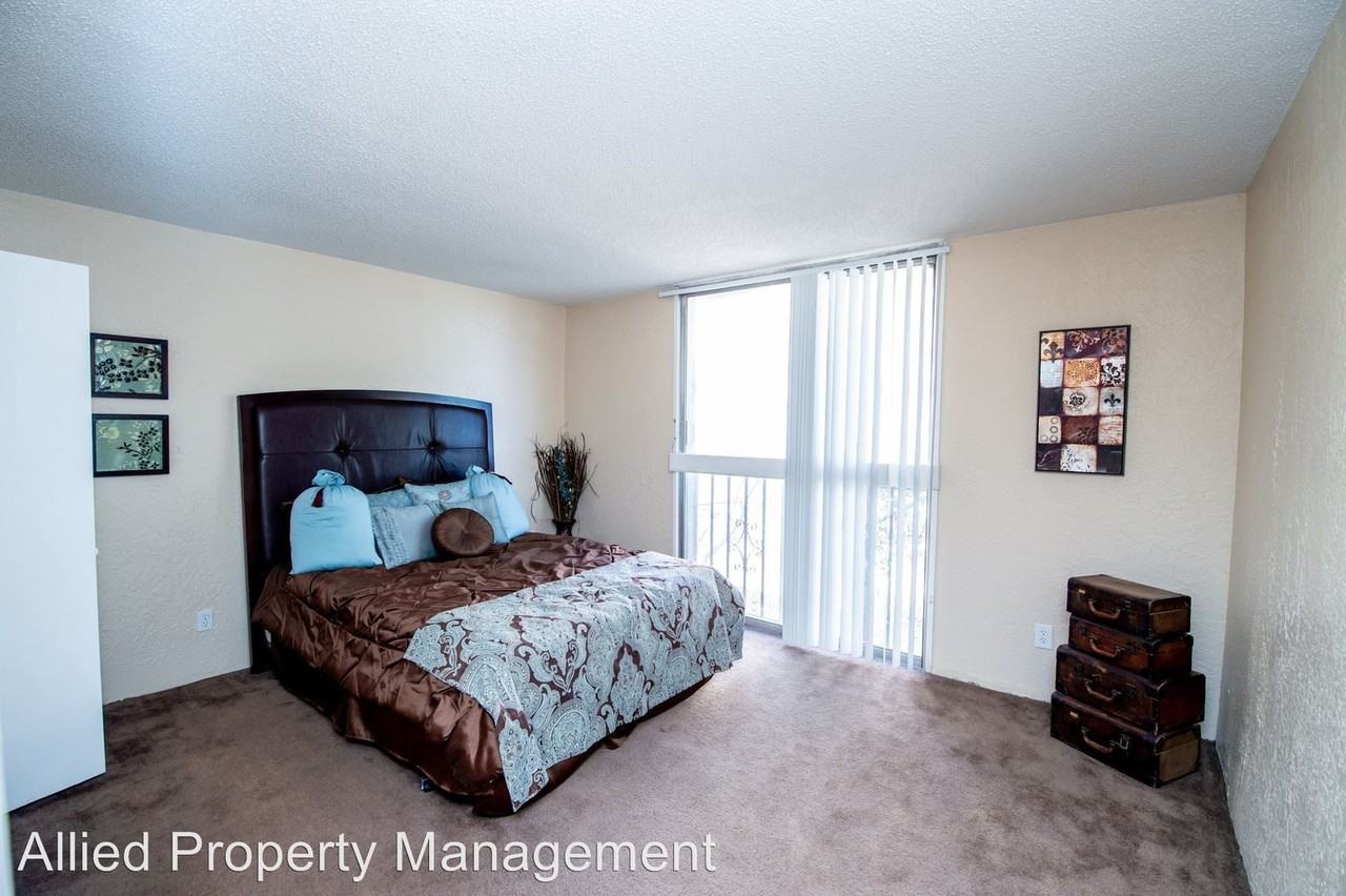 Montana Agave - Photo 2 of 50