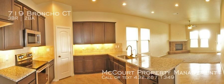719 Broncho Ct - Photo 3 of 50