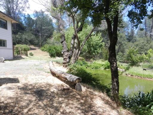 10209 Victoria Dr - Photo 3 of 13