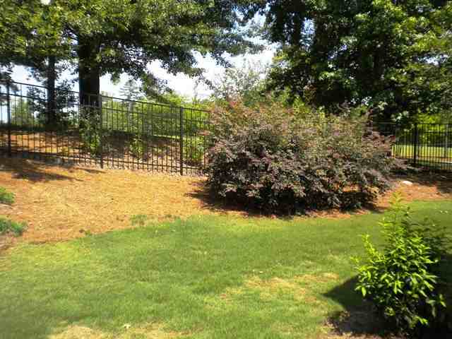 179 Avondale Cir - Photo 3 of 18