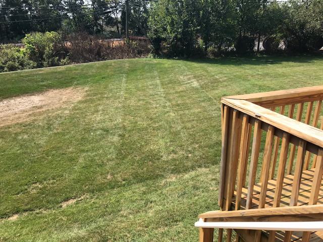 270 Locust St #5 - Photo 6 of 13