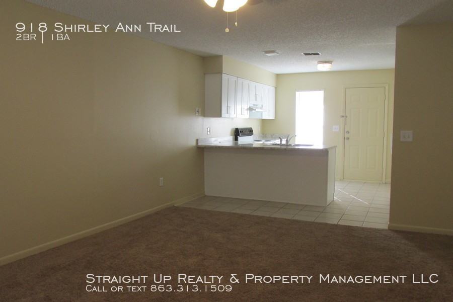 918 Shirley Ann Trail - Photo 2 of 12