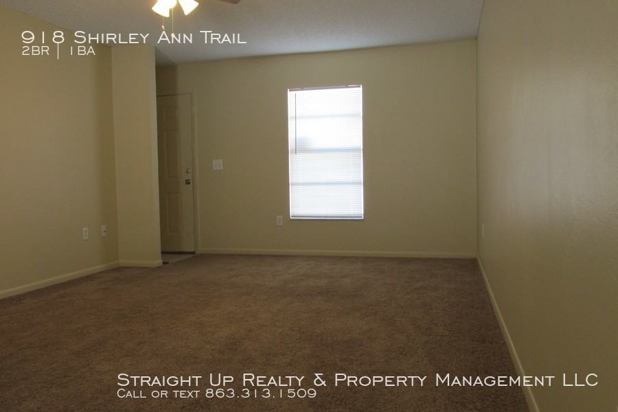 918 Shirley Ann Trail - Photo 3 of 12