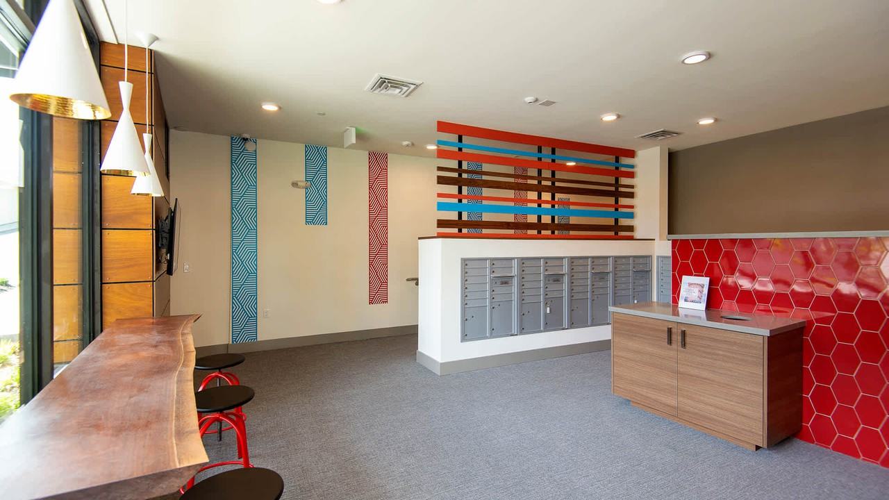 Lane - Photo 4 of 50