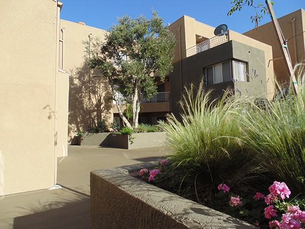 7950 Howe St. - Photo 6 of 7