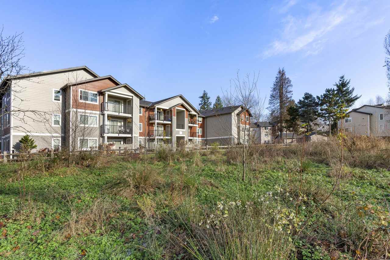 Indigo Springs - Photo 3 of 15