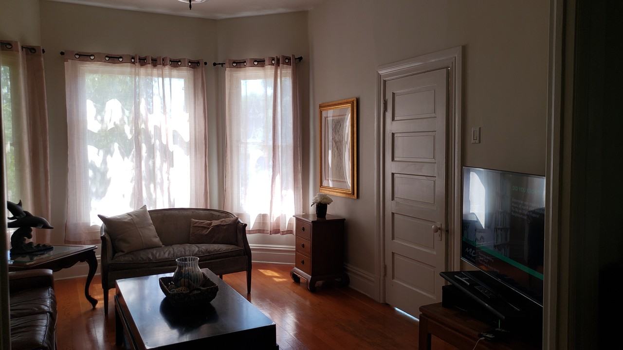 1514 Laguna Street home - Photo 3 of 27