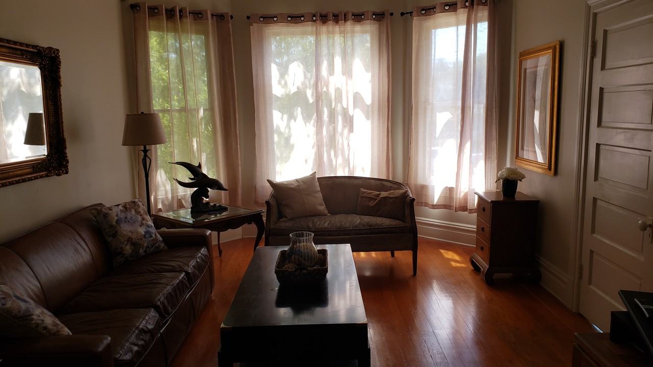 1514 Laguna Street home - Photo 2 of 27