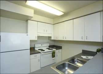 Ivy Ridge Apartments Rentals - 4730 21st Avenue Northeast Seattle Wa 98105 - Zumper